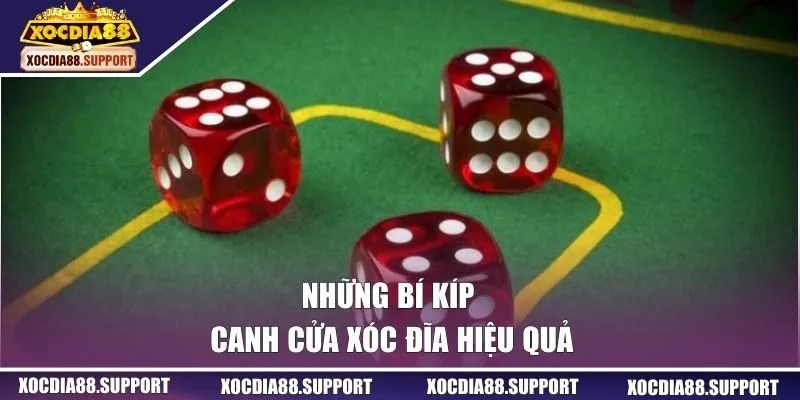 Những bí kíp canh cửa xóc đĩa hiệu quả